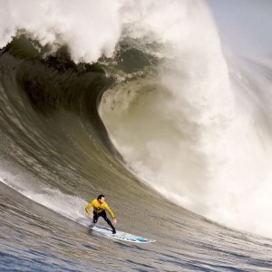 九游体育网址-欧洲杯最佳阵容公布，英格兰队占据最多席位，欧洲杯名单英格兰